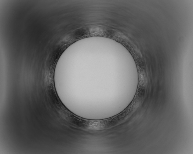 X0000086790705200705111815