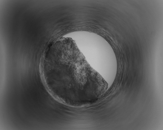 X0000086790707200705111815