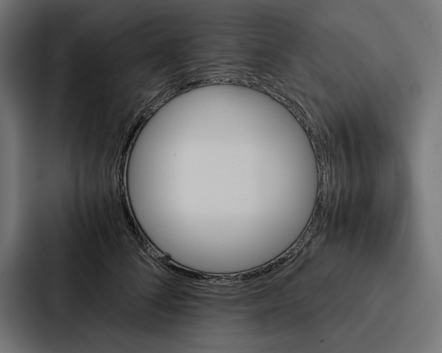 X0000086790708200705111815