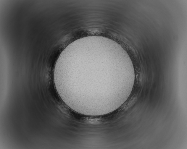 X0000086790710200705111815