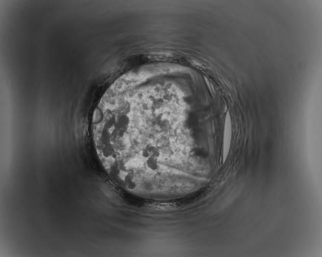 X0000086790711200705111815