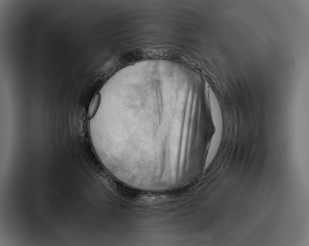 X0000086790712200705111815