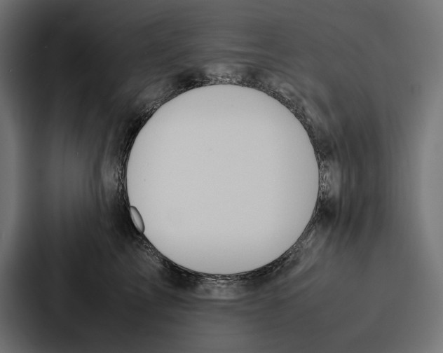 X0000086790713200705111815