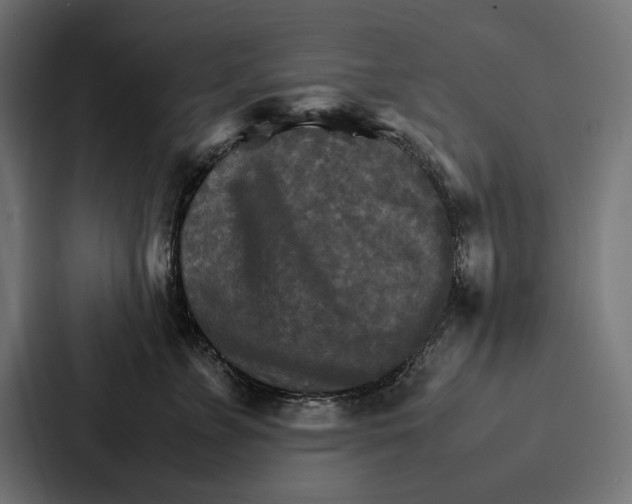 X0000086790715200705111815