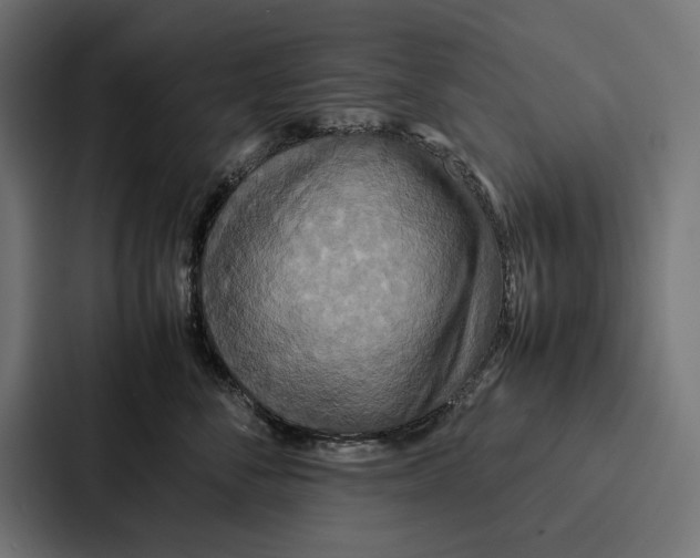 X0000086790716200705111815