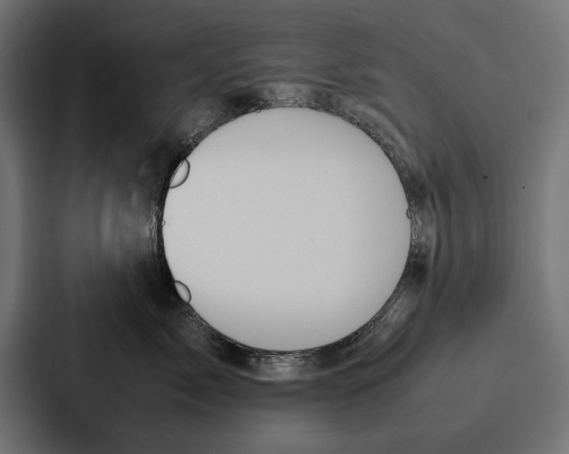 X0000086790717200705111815