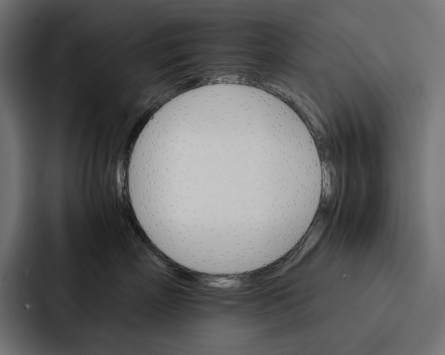 X0000086790718200705111815