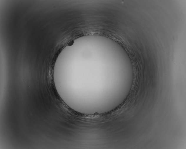 X0000086790720200705111815