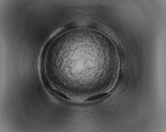 X0000086790722200705111814