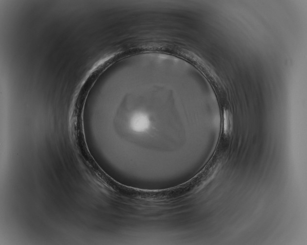 X0000086790723200705111814