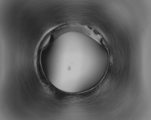 X0000086790724200705111815