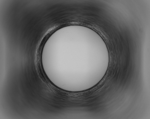 X0000086790727200705111815