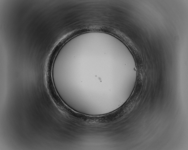 X0000086790728200705111815