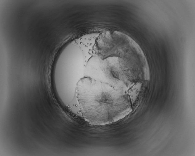 X0000086790729200705111815