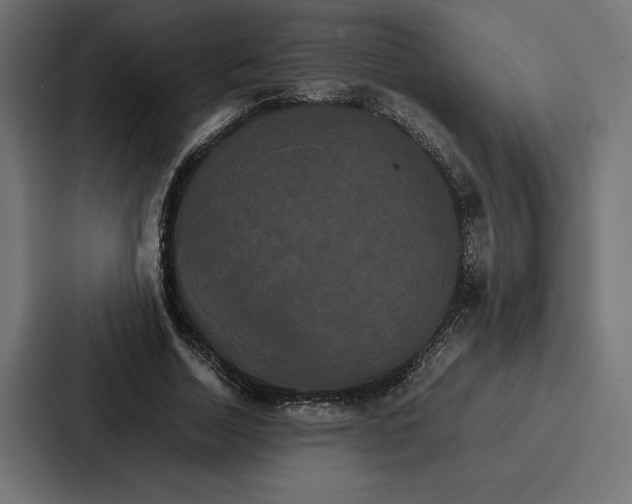 X0000086790730200705111815