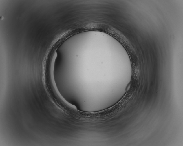 X0000086790732200705111815