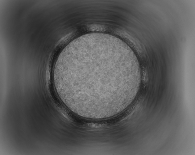 X0000086790733200705111815