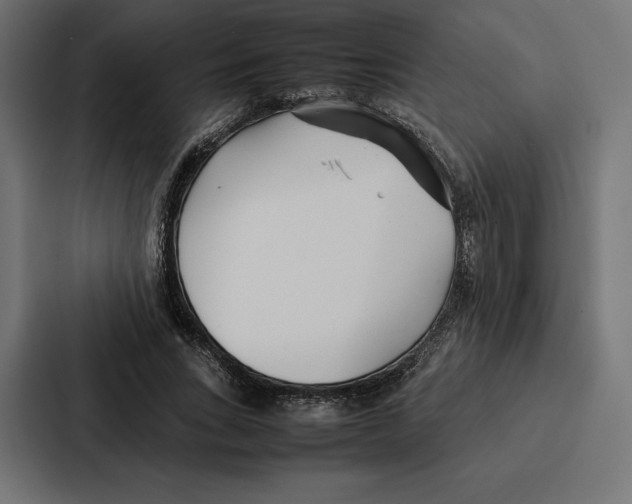 X0000086790735200705111815