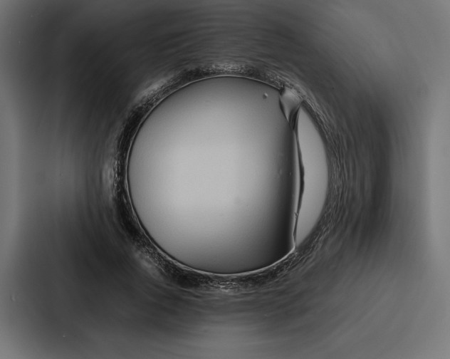 X0000086790736200705111815