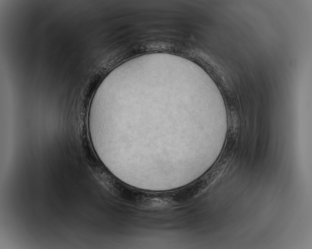 X0000086790737200705111815