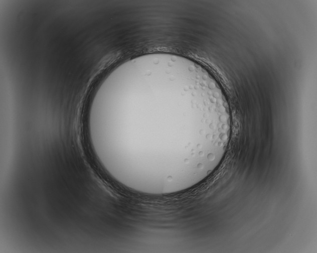 X0000086790738200705111815