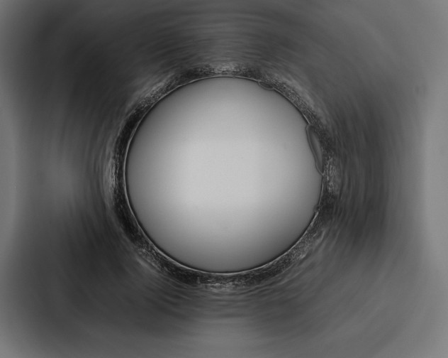 X0000086790740200705111815