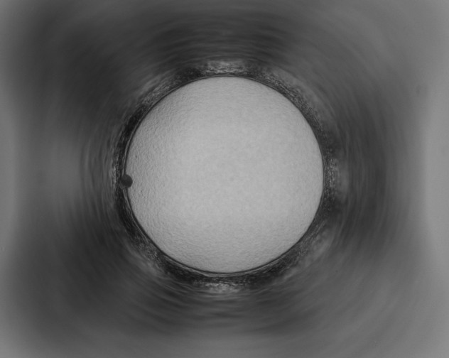 X0000086790741200705111815