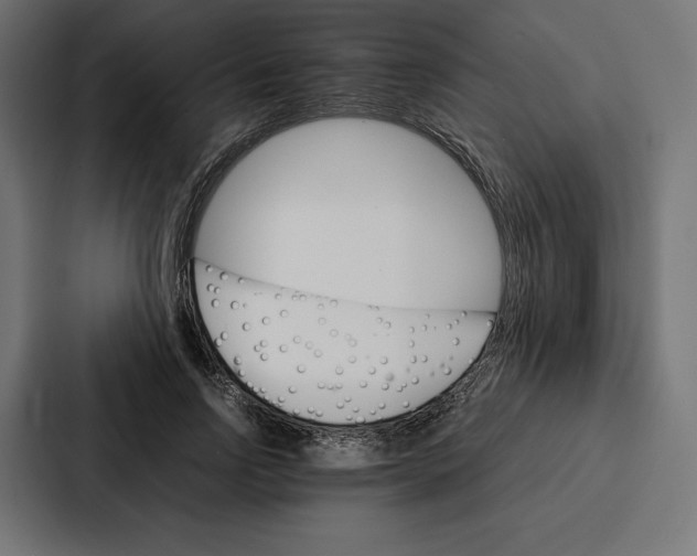 X0000086790742200705111815