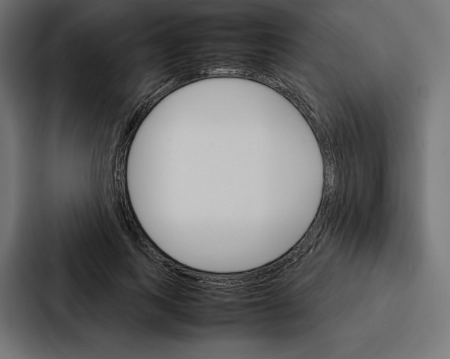 X0000086790743200705111815