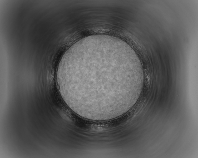 X0000086790745200705111815