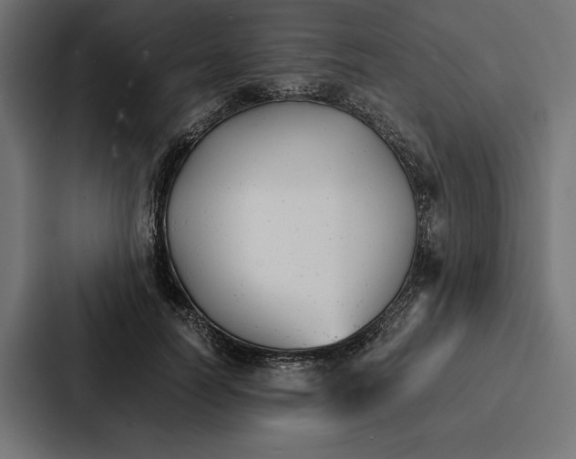 X0000086790746200705111815