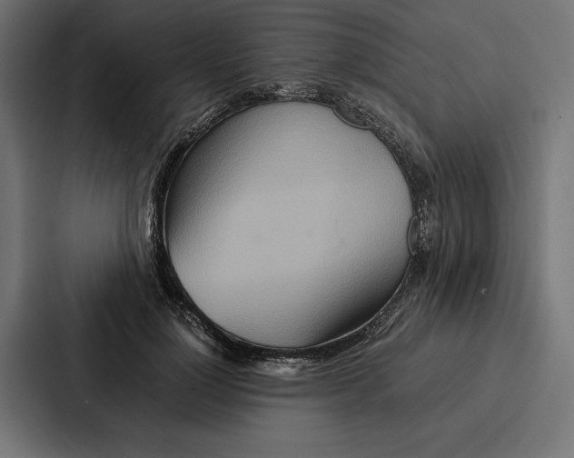 X0000086790748200705111815