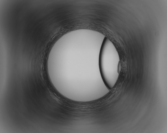 X0000086790750200705111815