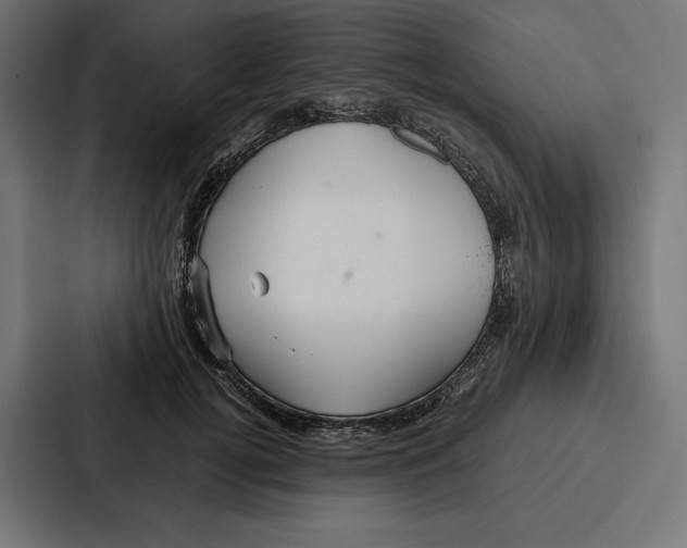 X0000086790752200705111815