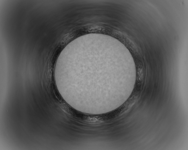 X0000086790753200705111815