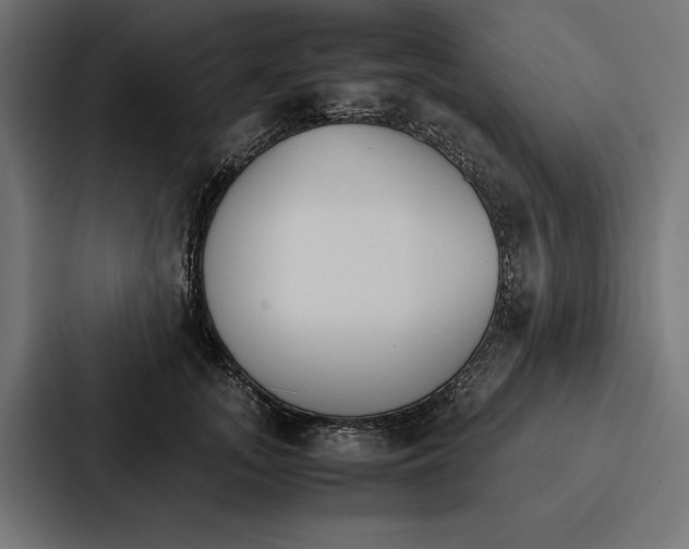 X0000086790755200705111815