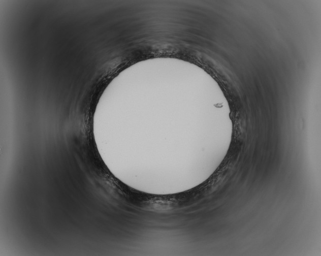 X0000086790756200705111815