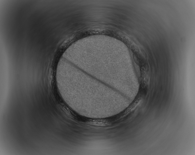 X0000086790758200705111815