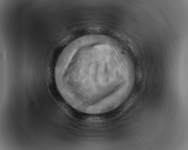 X0000086790759200705111815