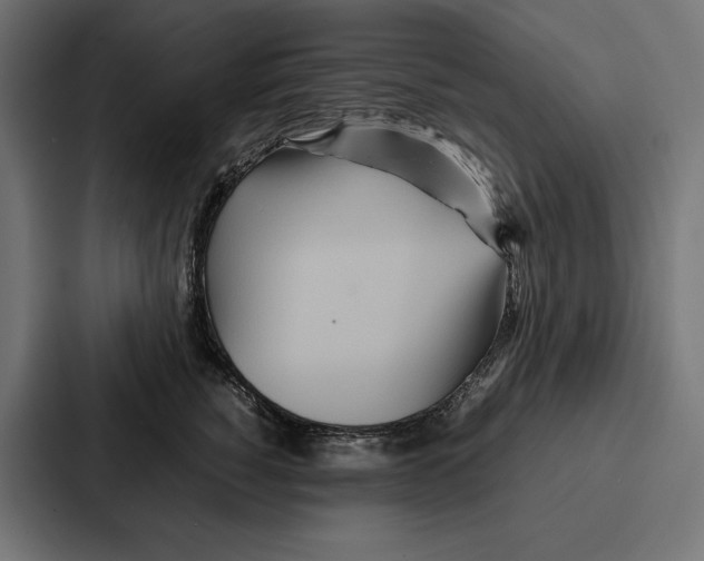 X0000086790760200705111815