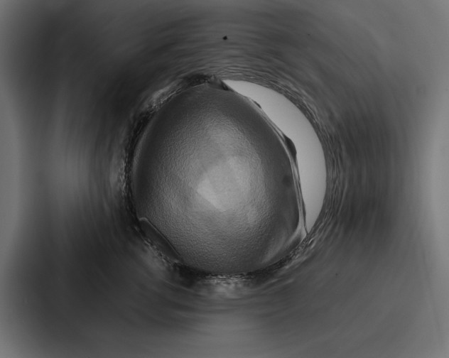 X0000086790762200705111815