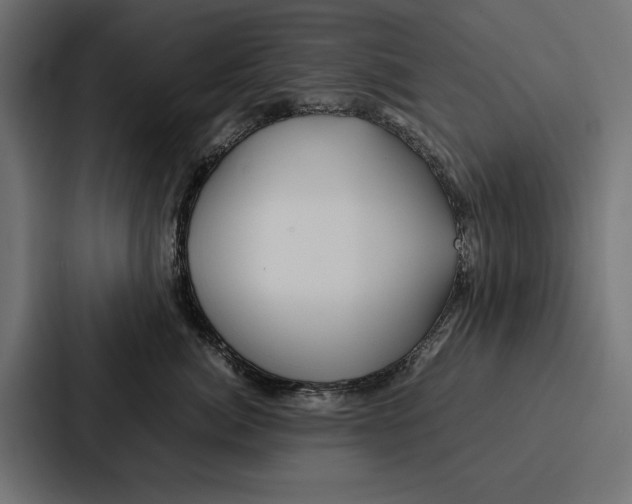 X0000086790764200705111815