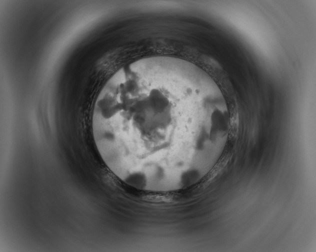 X0000086790765200705111815