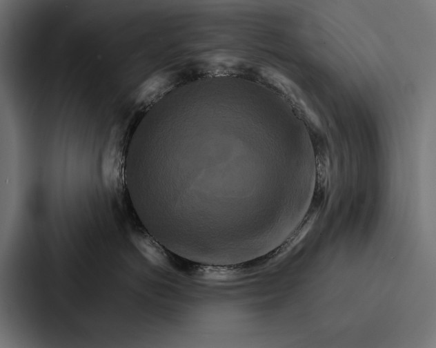 X0000086790766200705111815