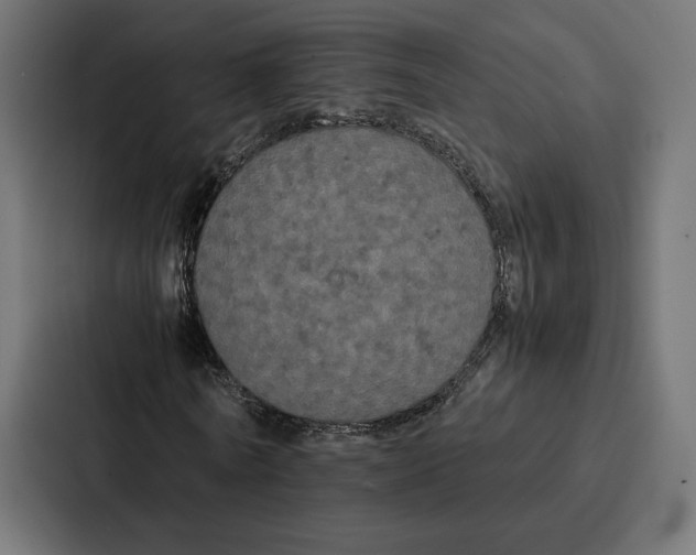 X0000086790770200705111814