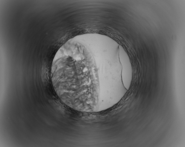 X0000086790772200705111814