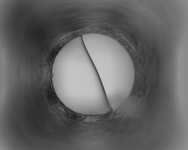 X0000086790773200705111814