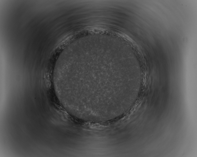 X0000086790774200705111814