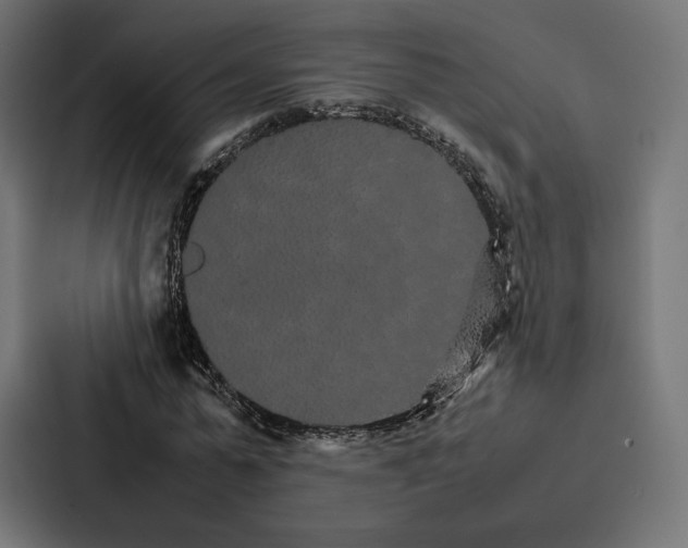 X0000086790775200705111814