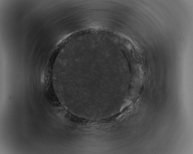 X0000086790776200705111814